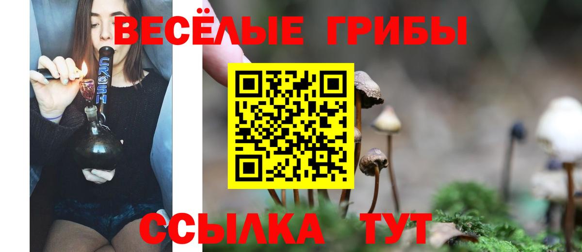 Усинск  Псилоцибиновые грибы MAGIC MUSHROOMS  Вход с VPN 